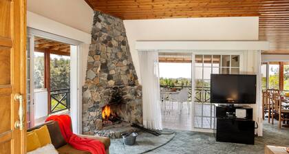 Platres Forest Panorama