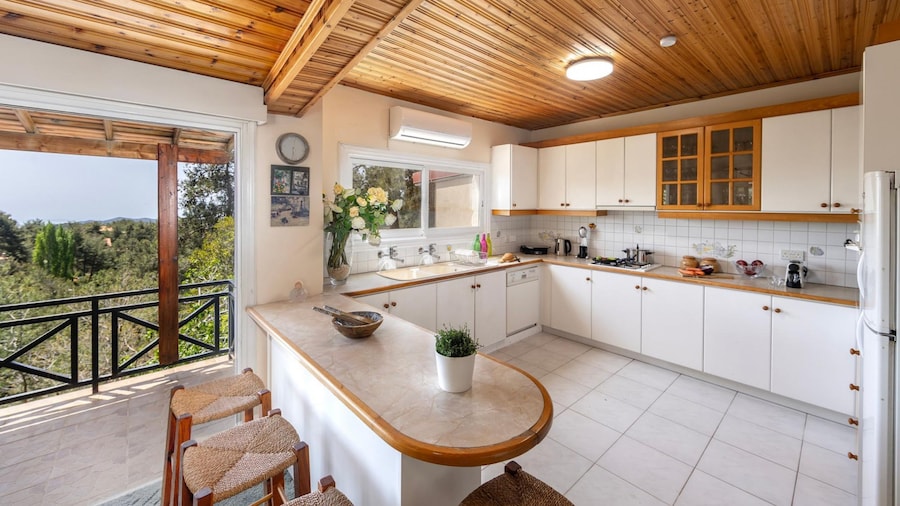 Platres Forest Panorama