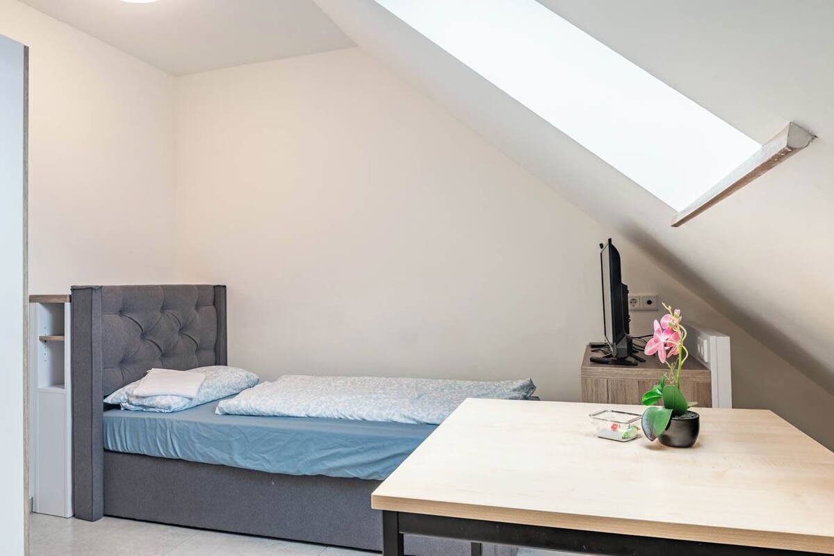 A bedroom with a bed, a desk, a TV, and a small plant.