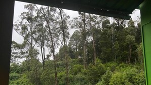 Uitzicht vanaf een balkon met houten balustrade, uitkijkend over een dicht bos met hoge bomen.