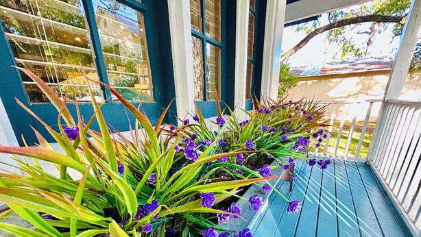 Un porche con barandas azules y plantas en macetas con flores moradas.