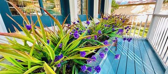 Cozy cottage ! Pet friendly ! Sleeps 4