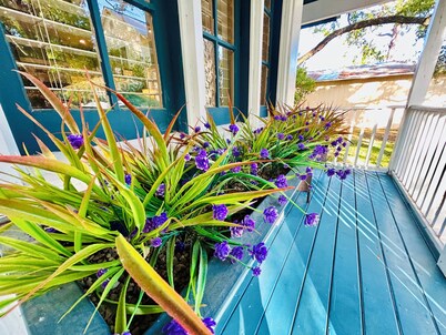 Cozy cottage ! Pet friendly ! Sleeps 4