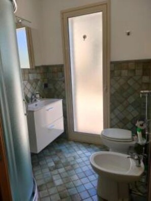 Shower, hair dryer, bidet, towels