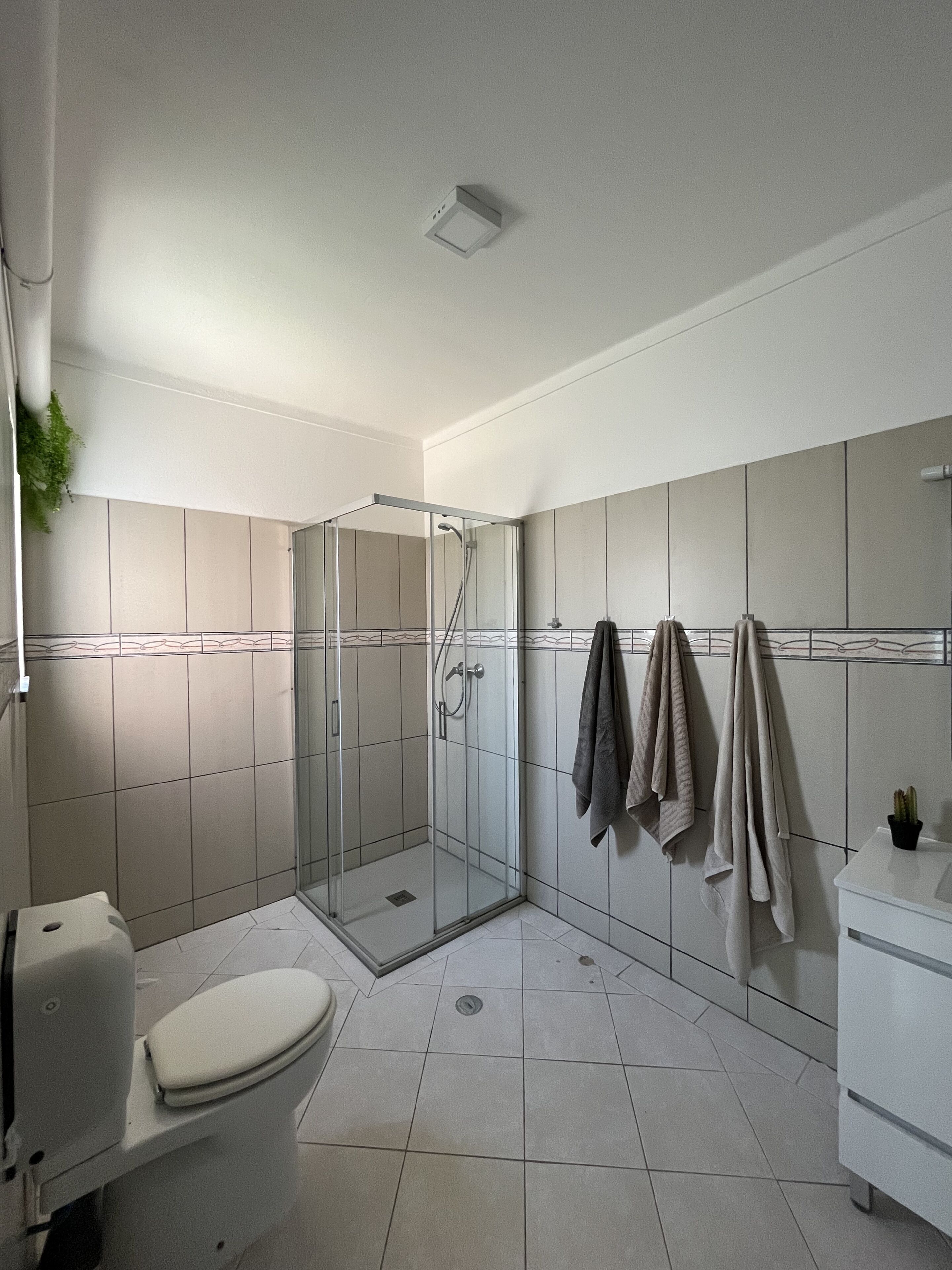 A modern bathroom with a glass-enclosed shower, a toilet, and a sink.