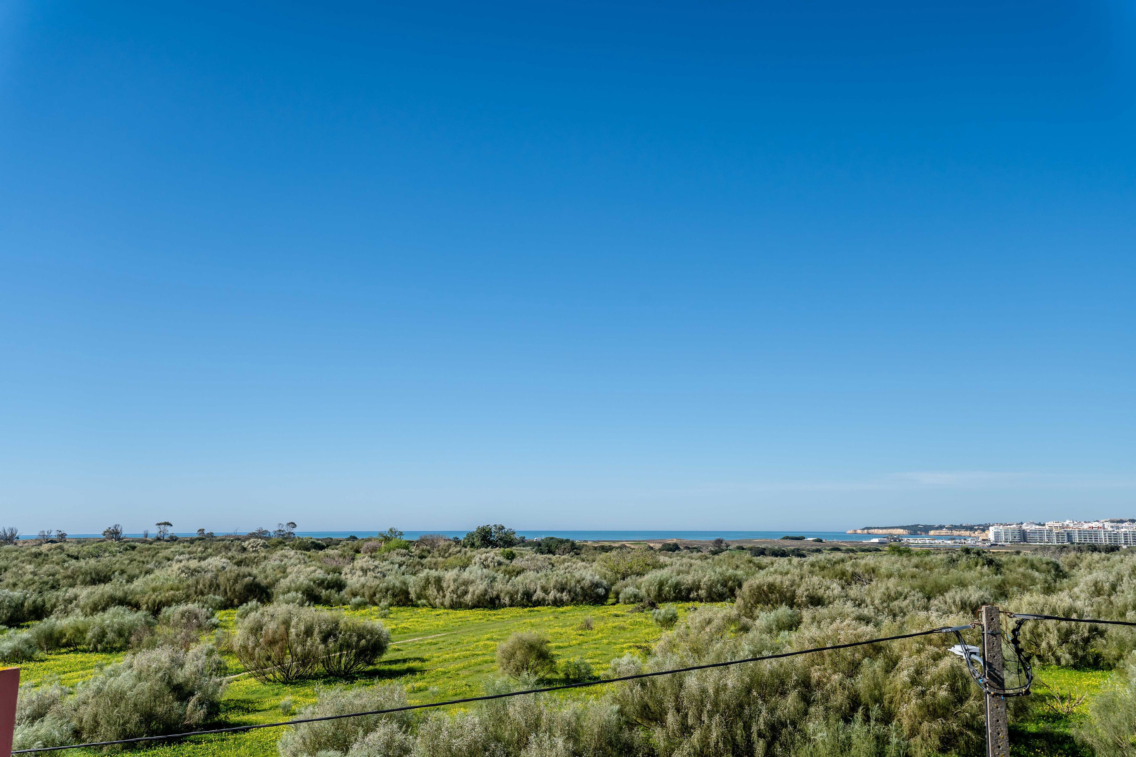 Un paysage côtier caractérisé par une végétation arbustive dense et un ciel bleu dégagé.