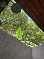 Ducha, cabezal de ducha tipo lluvia, artículos de tocador gratuitos