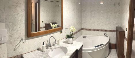 Shower, hair dryer, bidet, towels