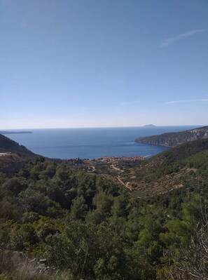 Lejlighed - 1 queensize-seng | Udendørsområde