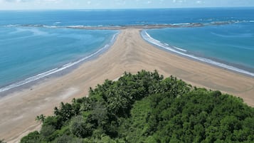 Ngoại thất