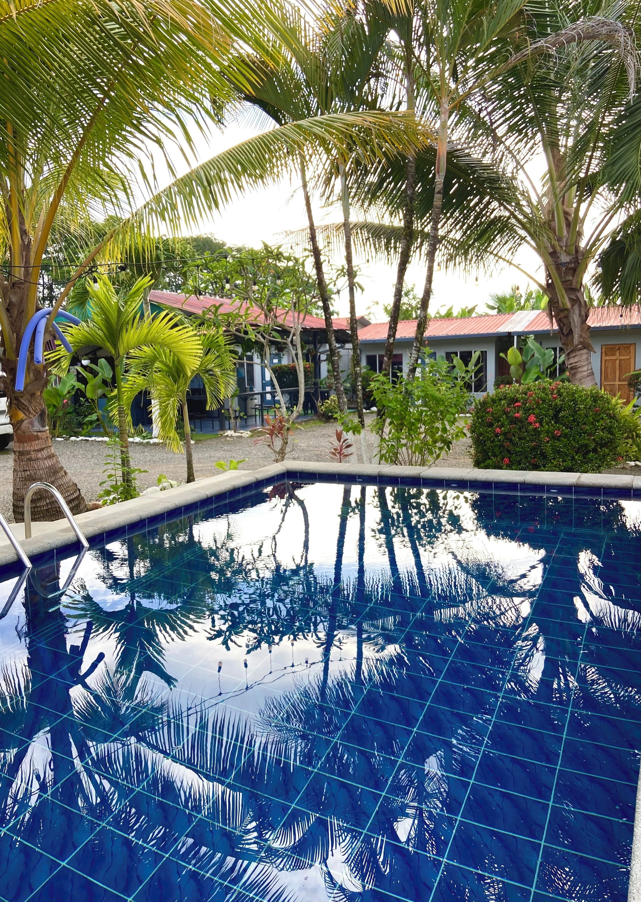 A clear blue pool surrounded by palm trees and a building with a red roof.