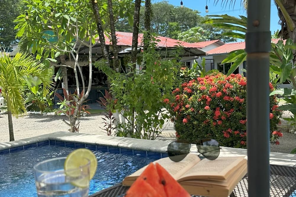 Rooms & Pool Macaws
