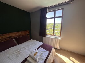 Standard Room | View from room