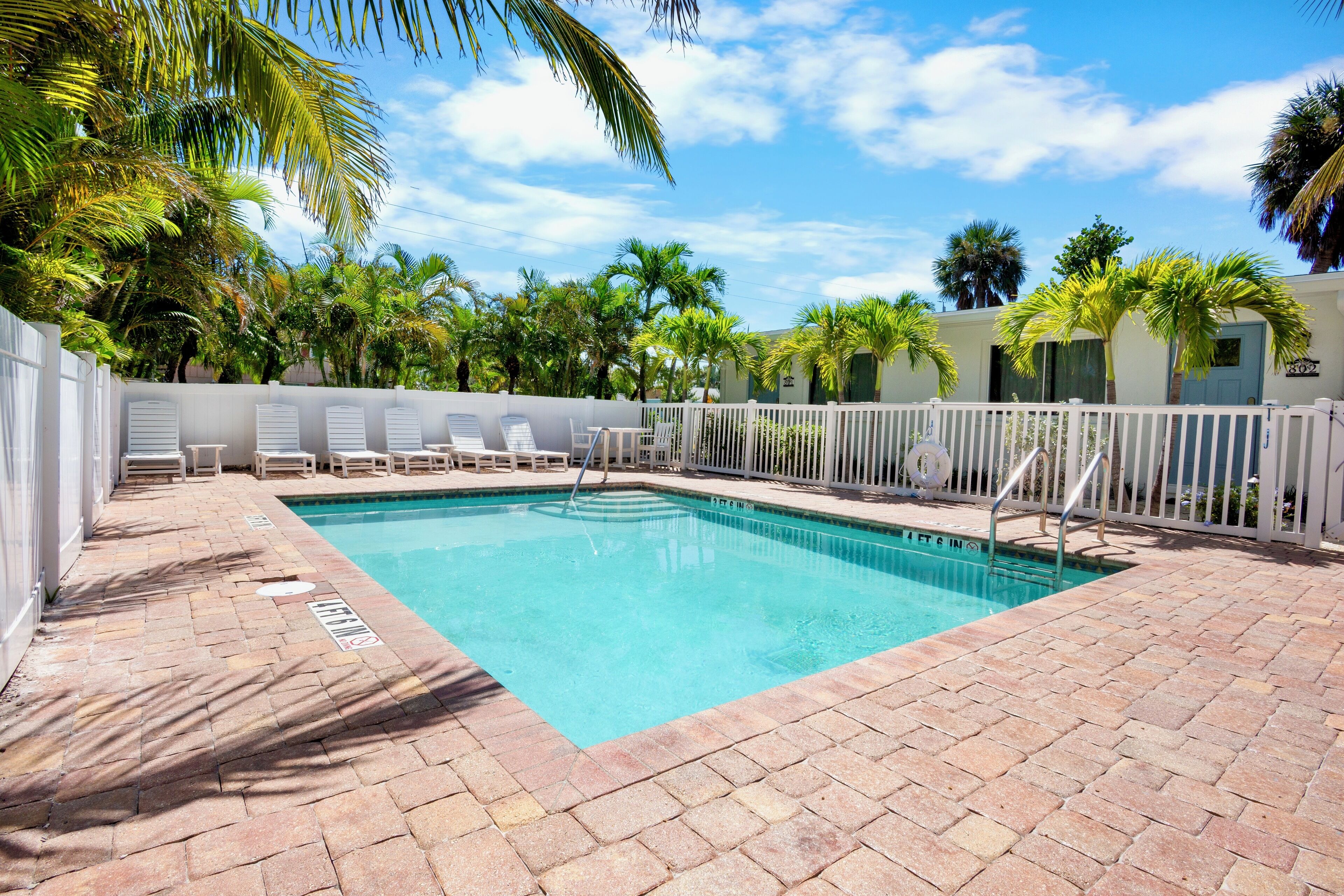 A swimming pool with a white fence, lounge chairs, and palm trees in the background.