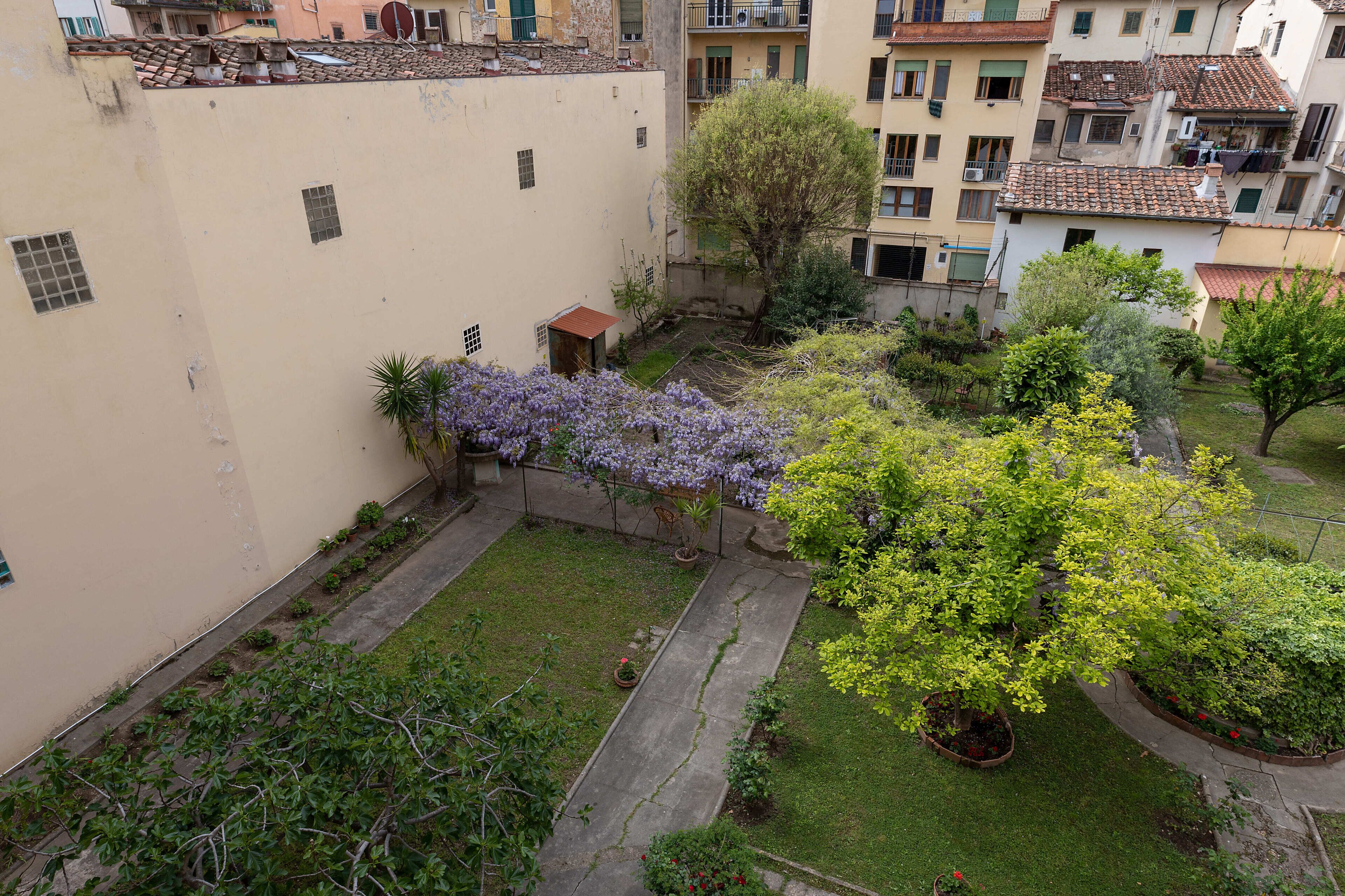 Un patio con jardín, un cobertizo pequeño y un árbol con flores moradas.