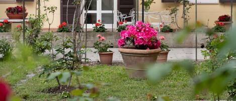 A garden with potted plants and a white chair in front of a building with brown shutters.