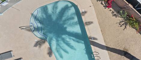 Une piscine à bordures courbes, entourée d’une terrasse en béton. Des garde-corps métalliques bordent le pourtour de la piscine, et on aperçoit quelques chaises longues.