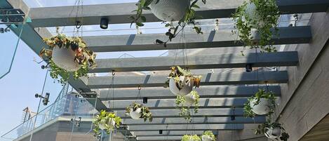 A modern outdoor dining area with multiple tables and chairs, surrounded by hanging planters with various plants.