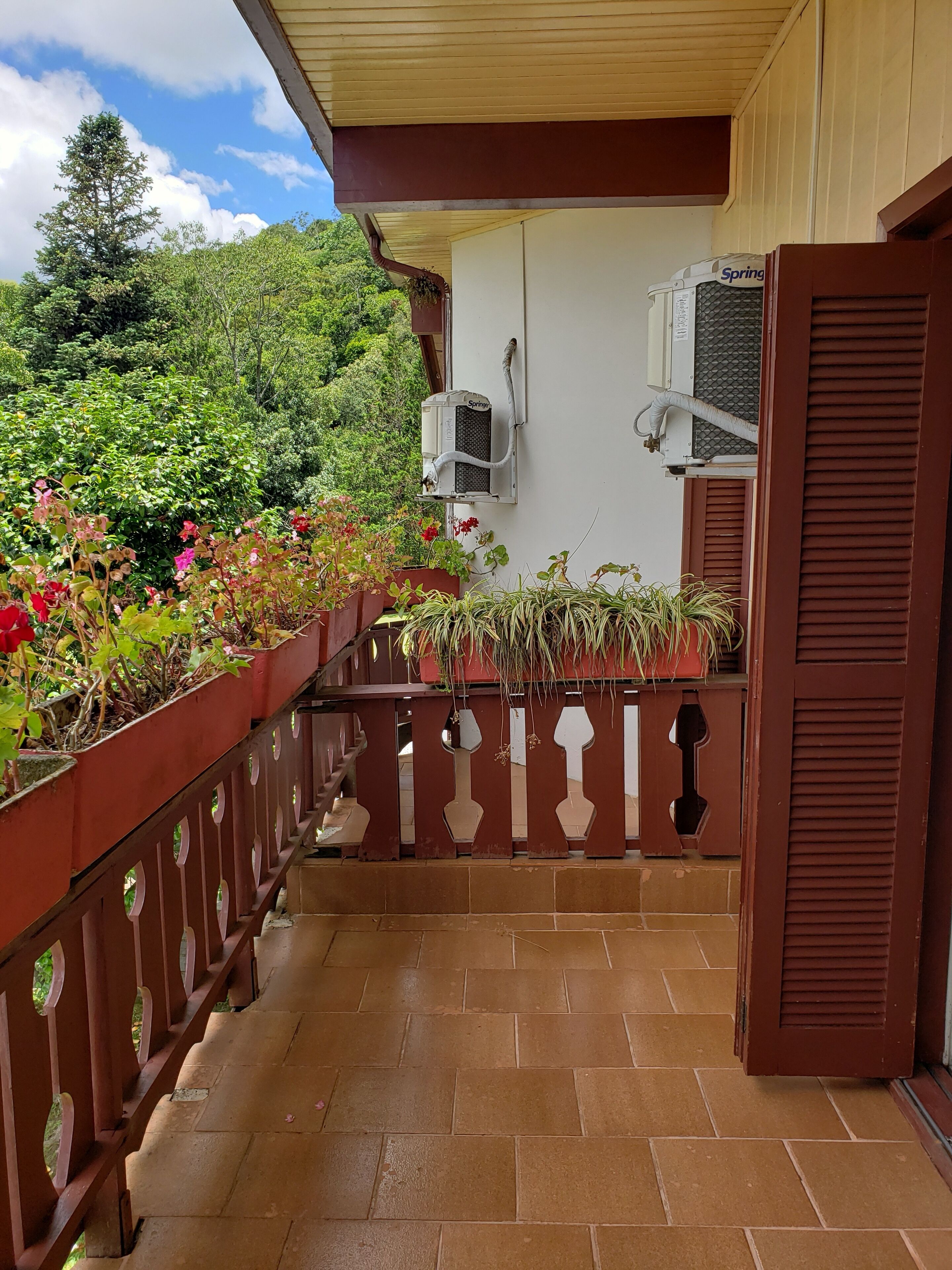 Foto - Hotel Pousada das Flores