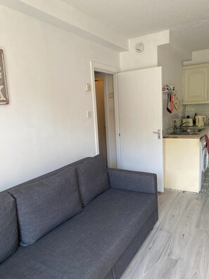 Basic Apartment, 1 Double Bed with Sofa bed | Living area - Central 1BD Flat in Dublin (Dublin)