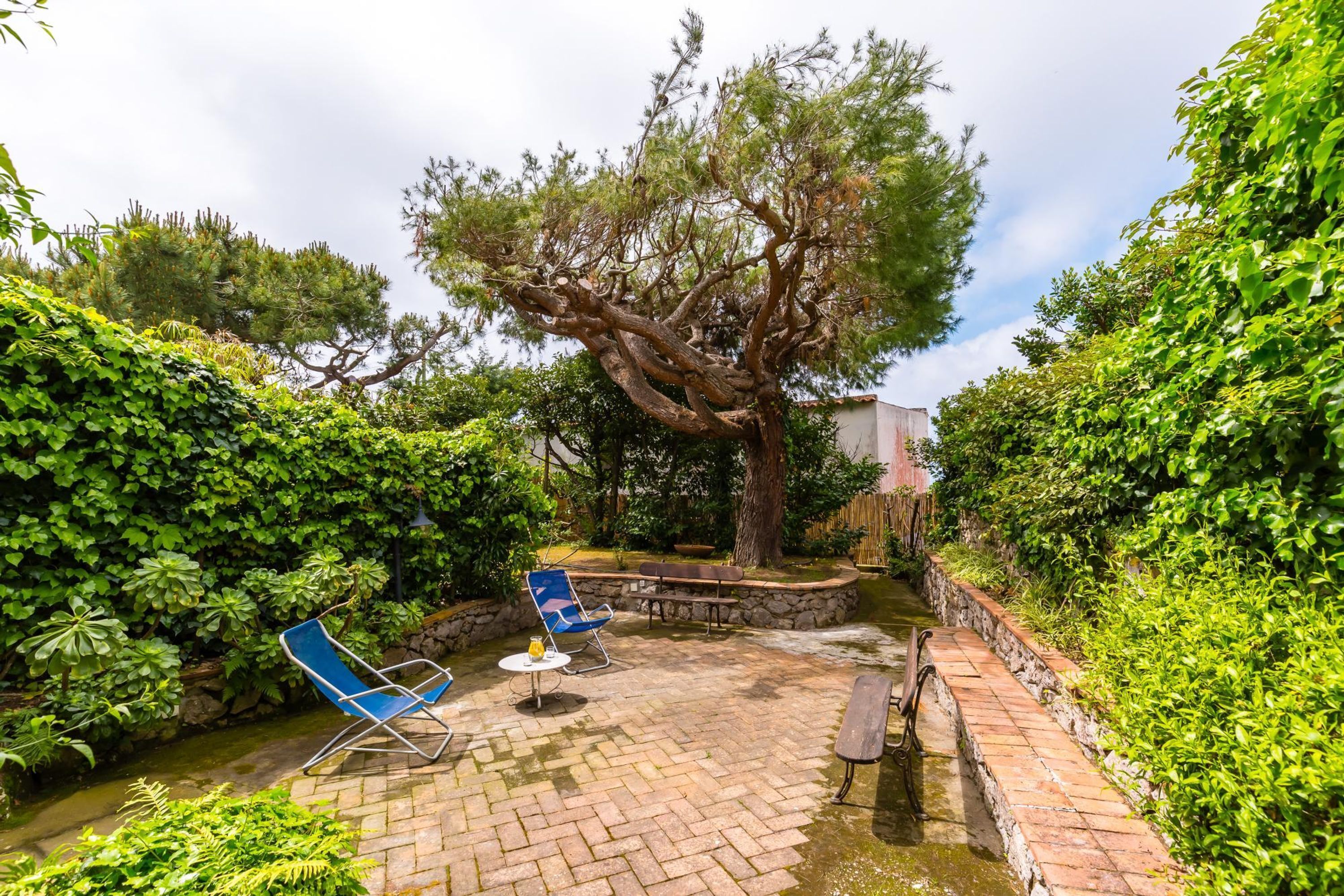 A patio area with a brick floor, a large tree, and a bench.