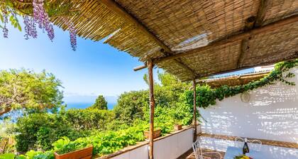 Villa Delle Ninfeee by Napoliapartments