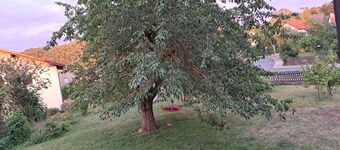 Liebevoll gestaltete, zum Wohlfühlen einladende Ferienwohnung.