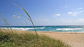 A beach with waves, clear sky, and grass in the foreground.