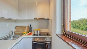 Fridge, oven, stovetop, dishwasher