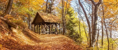 Enceinte de l’hébergement