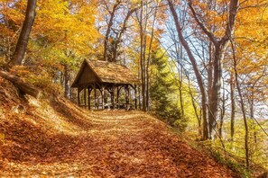 A wooden gazebo in a forest with a leaf-covered path leading to it. - Lovely House Near Zagreb With Terrace (Ivanic-Grad)