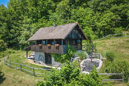 Vineyard Cottage Pavlin 1