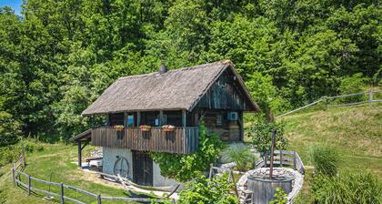 Vineyard Cottage Pavlin 1