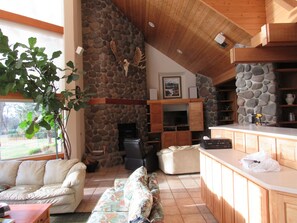 TV, caminetto, videogiochi, impianto stereo