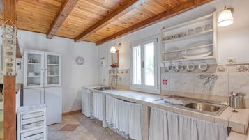 Family House, 1 Bedroom (Eco house Zabodarski beach) | Private kitchen | Fridge, stovetop, toaster, cookware/dishes/utensils