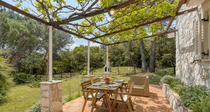 Eco House Zabodarski Beach