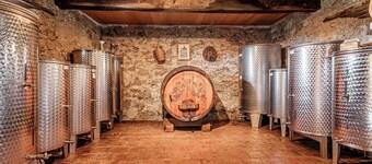 Vineyard Cottage Pavlin 3