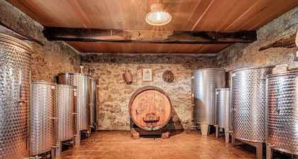 Vineyard Cottage Pavlin 3