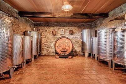 Vineyard Cottage Pavlin 3