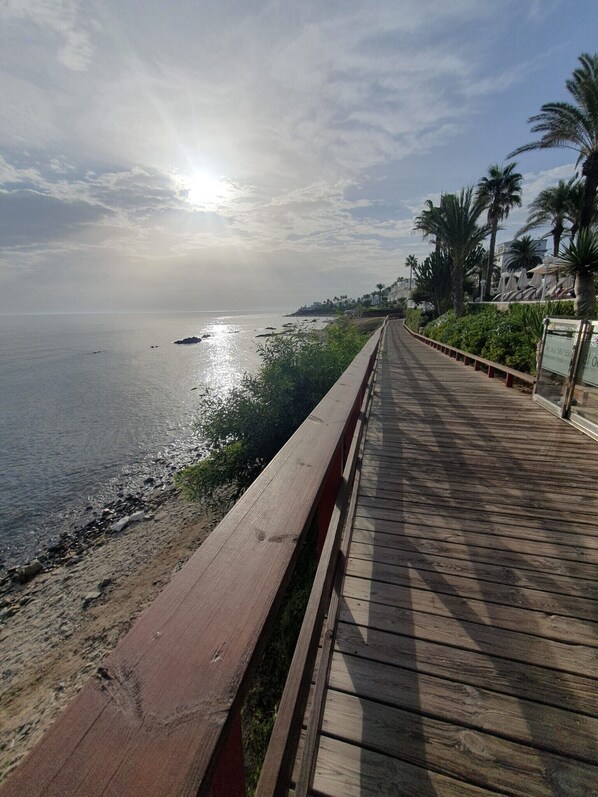 A wooden boardwalk along a coastal area with a view of the sea and palm trees.