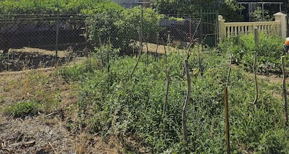 Standard 1-bed Apartment in Komiza no1