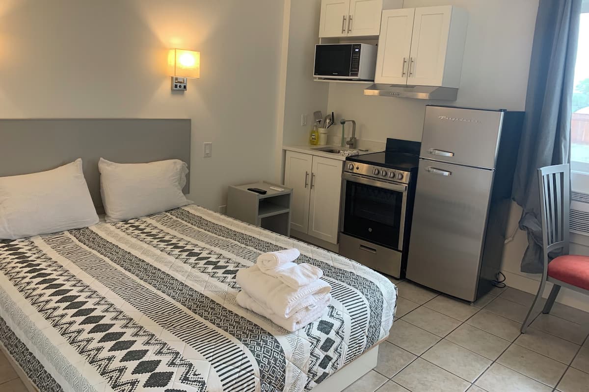 Chambre Deluxe, 1 grand lit, cuisine | Cuisine privée | Grand réfrigérateur, micro-ondes, congélateur