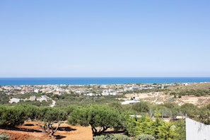 别墅 | 客房景观