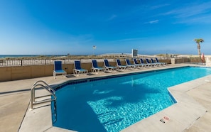 Relax by the pool surrounded by lounge chairs and a palm tree.