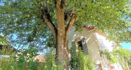 Gßte Villa Garona avec billard, pétanque entre Toulouse et les Pyrénées - 6 pers