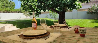 Van Gogh en Provence