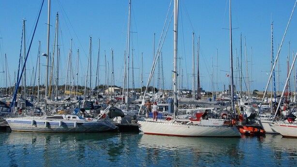 A marina with multiple sailboats docked.