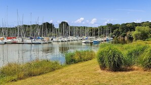 Un puerto deportivo con numerosos veleros amarrados a la orilla, rodeado de exuberante vegetación y árboles.