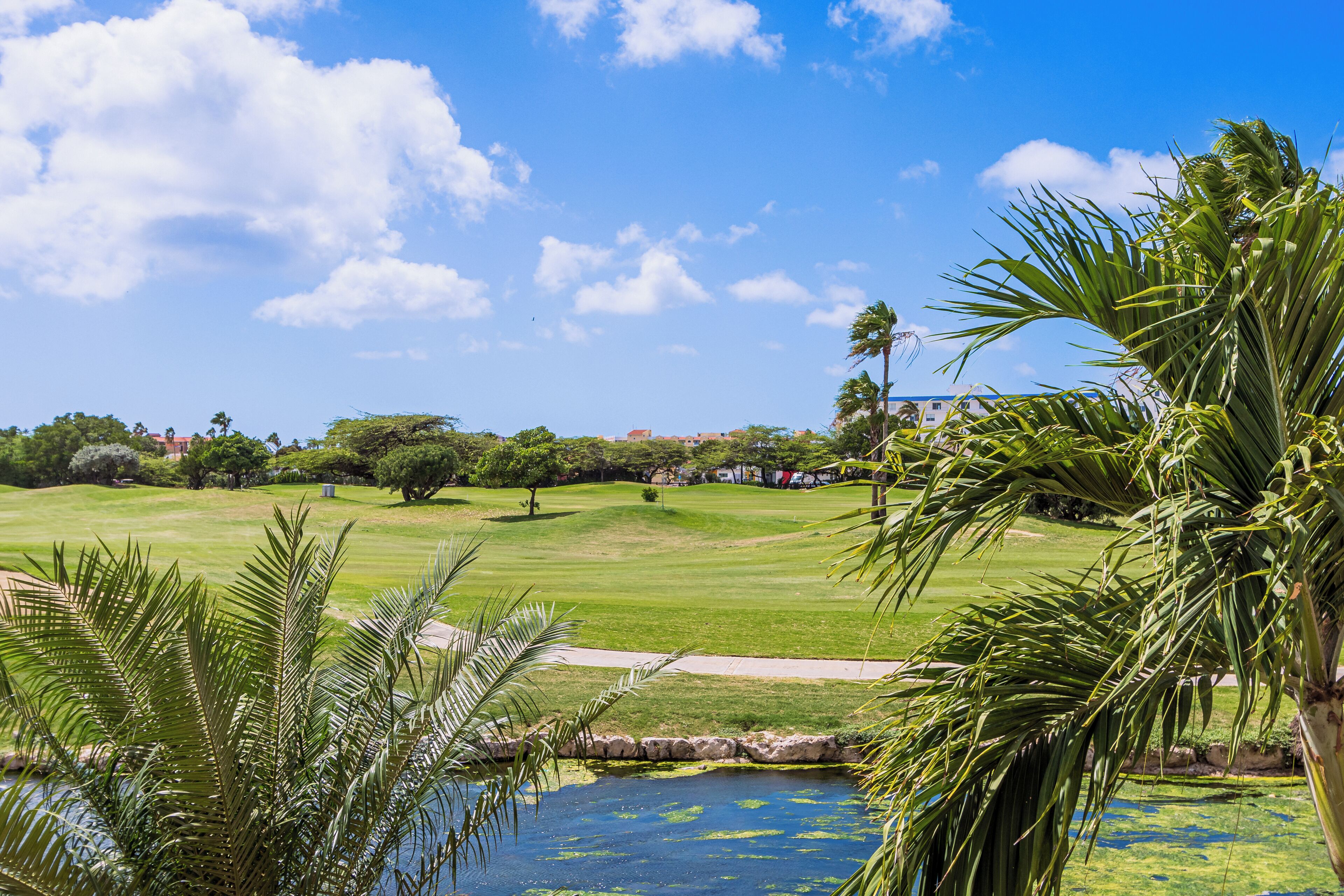 A golf course with a pond, palm trees, and a clear blue sky.