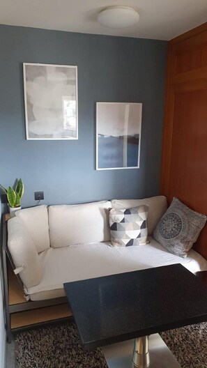 Appartement (1 Bedroom) | Aire de séjour | Téléviseur